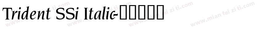 Trident SSi Italic字体转换